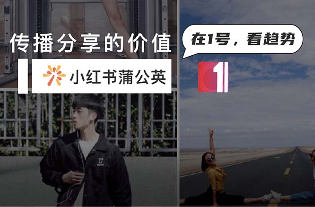小红书蒲公英平台是什么，蒲公英平台操作指南