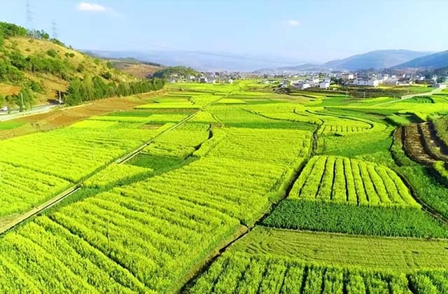 做三农自媒体的前景好吗（抖音做农村题材存在的机会）